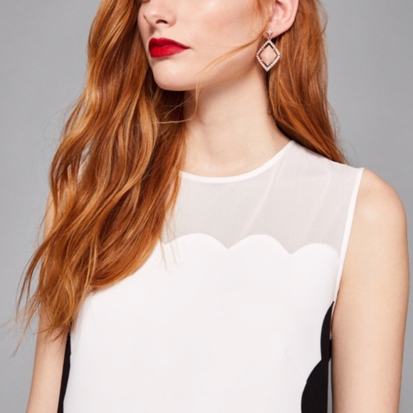 New Ted Baker Black and White Berii Dress - Picture 3 of 5